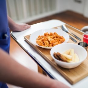 Catering/ Meal Preparation