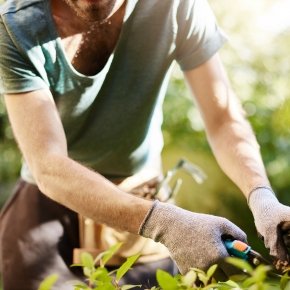 Yard Maintenance